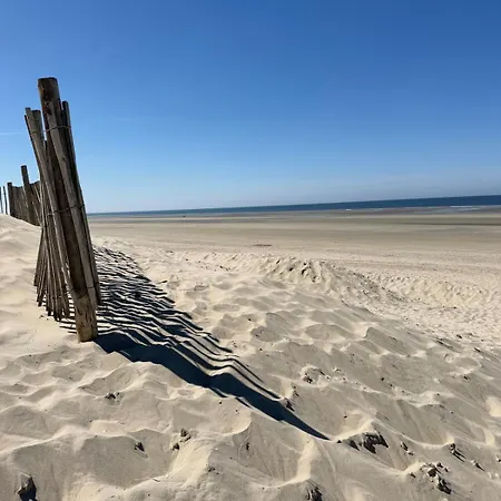 Veille Azur - Les Tamaris Quend-Plage